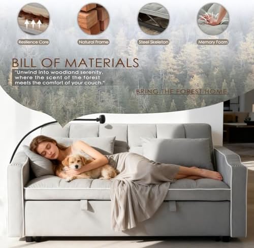 Dreamzie 3 in 1 Convertible Sleeper Sofa Bed - Adjustable Backrest Loveseat with USB Port & Swivel Phone Stand - Modern